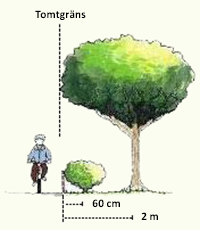 Illustration: Stora buskar och träd bör placeras minst 2 meter innanför tomtgräns. Häck- och buskplantor bör placeras minst 60 cm innanför tomtgräns.